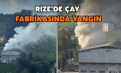 Rize'de Çay Fabrikasında Yangın
