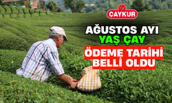 Çaykur Ağustos Ayı Yaş Çay Ödeme Tarihi Belli Oldu