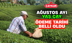 Çaykur Ağustos Ayı Yaş Çay Ödeme Tarihi Belli Oldu
