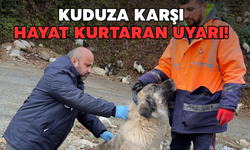 Ferah: “Kuduzdan Korkmak Yerine Önlem İçin Birlikte Hareket Edelim”