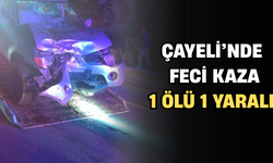 Çayeli'de Feci Kaza: 1 Ölü 1 Yaralı