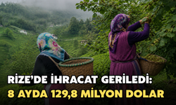 Rize’de İhracat Geriledi: 8 Ayda 129,8 Milyon Dolar