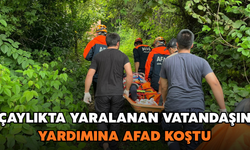 Rize'de Çaylıkta Yaralanan Kişi Kurtarıldı