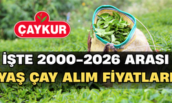 İşte 2000-2026 Arası Yaş Çay Alım Fiyatları