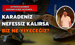 Karadeniz Nefessiz Kalırsa Biz Ne Yiyeceğiz?