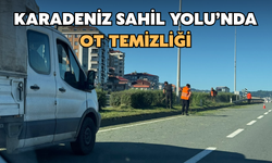 Karadeniz Sahil Yolu’nda Ot Temizliği