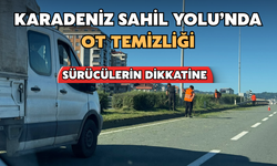 Karadeniz Sahil Yolu’nda Ot Temizliği