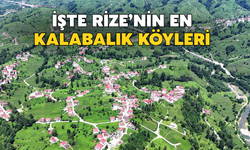 Köyden Şehre Göç Sürüyor: İşte Rize’nin En Kalabalık 20 Köyü