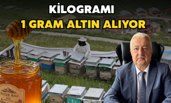 Kilogramı 1 Gram Altın Alıyor!