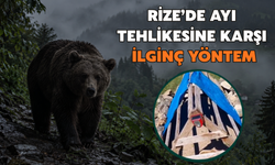 Rize'de Ayı Tehlikesine Karşı İlginç Önlem