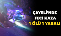 Çayeli'de Feci Kaza: 1 Ölü 1 Yaralı