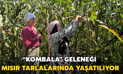 “Kombala” Geleneği Mısır Tarlalarında Yaşatılıyor