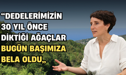 "Dedelerimizin 30 Yıl Önce Diktiği Ağaçlar Bugün Başımıza Bela Oldu"