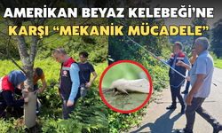 Amerikan Beyaz Kelebeği'ne Karşı Mekanik Mücadele