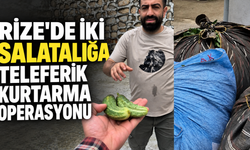 Rize'de İki Salatalığa Teleferik Kurtarma Operasyonu