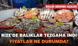 Rize'de Balık Sezonu Açıldı: Fiyatlar Belli Oldu