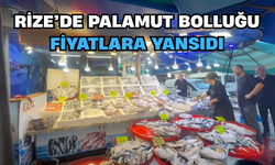Rize’de Palamut Bolluğu Fiyatlara Yansıdı