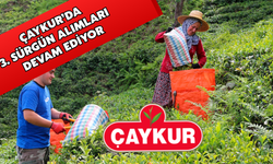 Üçüncü Sürgünde Çaykur’dan 127 Bin Tonluk Alım