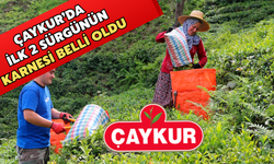 Üçüncü Sürgünde Çaykur’dan 127 Bin Tonluk Alım