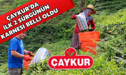 Üçüncü Sürgünde Çaykur’dan 127 Bin Tonluk Alım