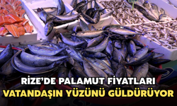 Palamut Bolluğu Vatandaşın Yüzünü Güldürüyor