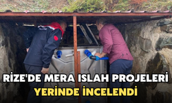 Rize'de Mera Islah Projeleri Yerinde İncelendi