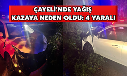 Çayeli’nde Yağış Kazaya Neden Oldu: 4 Yaralı