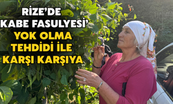 Rize’de Kabe Fasulyesi Olarak Biliniyor: Yok Olma Tehdidi İle Karşı Karşıya