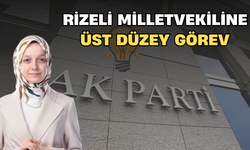 Rizeli Milletvekiline Üst Düzey Görev