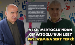 Mertoğlu’ndan Fındıklı Belediye Başkanı Çervatoğlu’na LGBT Tepkisi