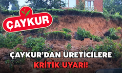 Çaykur'dan Üreticilere Kritik Uyarı: Uzak Durun!