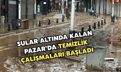 Sel Suları Altında Kalan Pazar'da Temizlik Çalışmaları Başladı