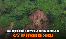 Bahçeleri Heyelanda Kopan Çay Üreticisi Endişeli