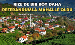 Rize'de Kırklartepe Köyü Referandumla Mahalle Oldu