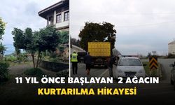 11 Yıl Önceki 2 Ağacın Yolculuk Hikayesi