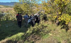 Kamyonet Uçurumdan Yuvarlandı: Sürücünün Eşi Hayatını Kaybetti