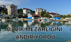 Balık mezarlığını andırıyordu: Temizlendi