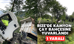 Rize’de Kamyon Çay Bahçesine Yuvarlandı: 1 Yaralı