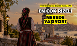 Türkiye’de 782 Bin 658 Rizeli Yaşıyor: En Fazla Rizeli Hangi Şehirde?