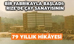 Bir Fabrikayla Başladı: Rize’de Çay Sanayisinin 79 Yıllık Hikâyesi