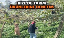 Rize'de Tarım Ürünlerine Denetim: Kurallara Uymayanlara Ceza Uygulanacak