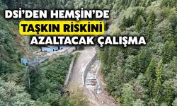 Dsi’den Hemşin’de Taşkın Riskini Azaltacak Yatırım