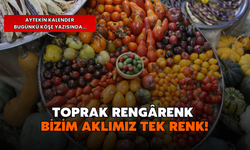 Aytekin Kalender: Festival bitti: Üreticiye Açılan Kapı Açık Kalacak Mı?