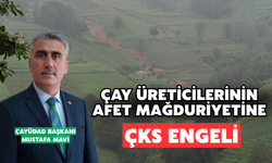 Çay Üreticilerinin Afet Mağduriyetine ÇKS Engeli
