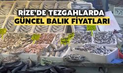 İşte Rize'de Tezgahlarda Güncel Balık Fiyatları