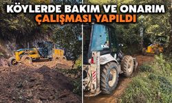 Rize'de Köylerde Bakım ve Onarım Çalışması Yapıldı