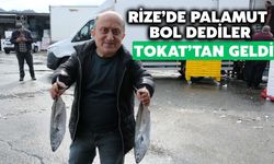 Tokat'tan Rize'ye Palamut İçin Geldi!