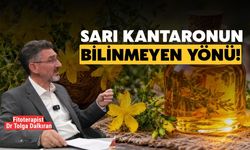 Bitkilerle Tedavi Yöntemi Nasıl Olmalı?