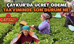 Çaykur’da Ücret Ödeme Takviminde Son Durum Ne?