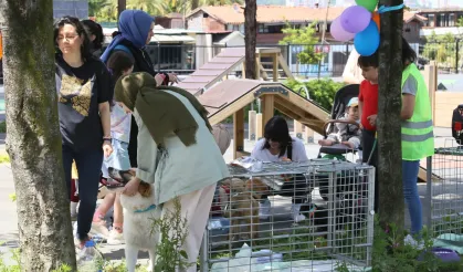Rize Belediyesi Minik Canları Yeni Yuvalarıyla Buluşturdu!